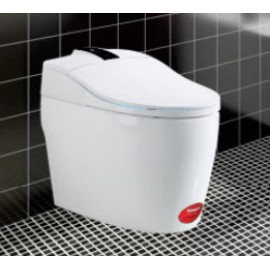 BỒN CẦU KASSANI 2355